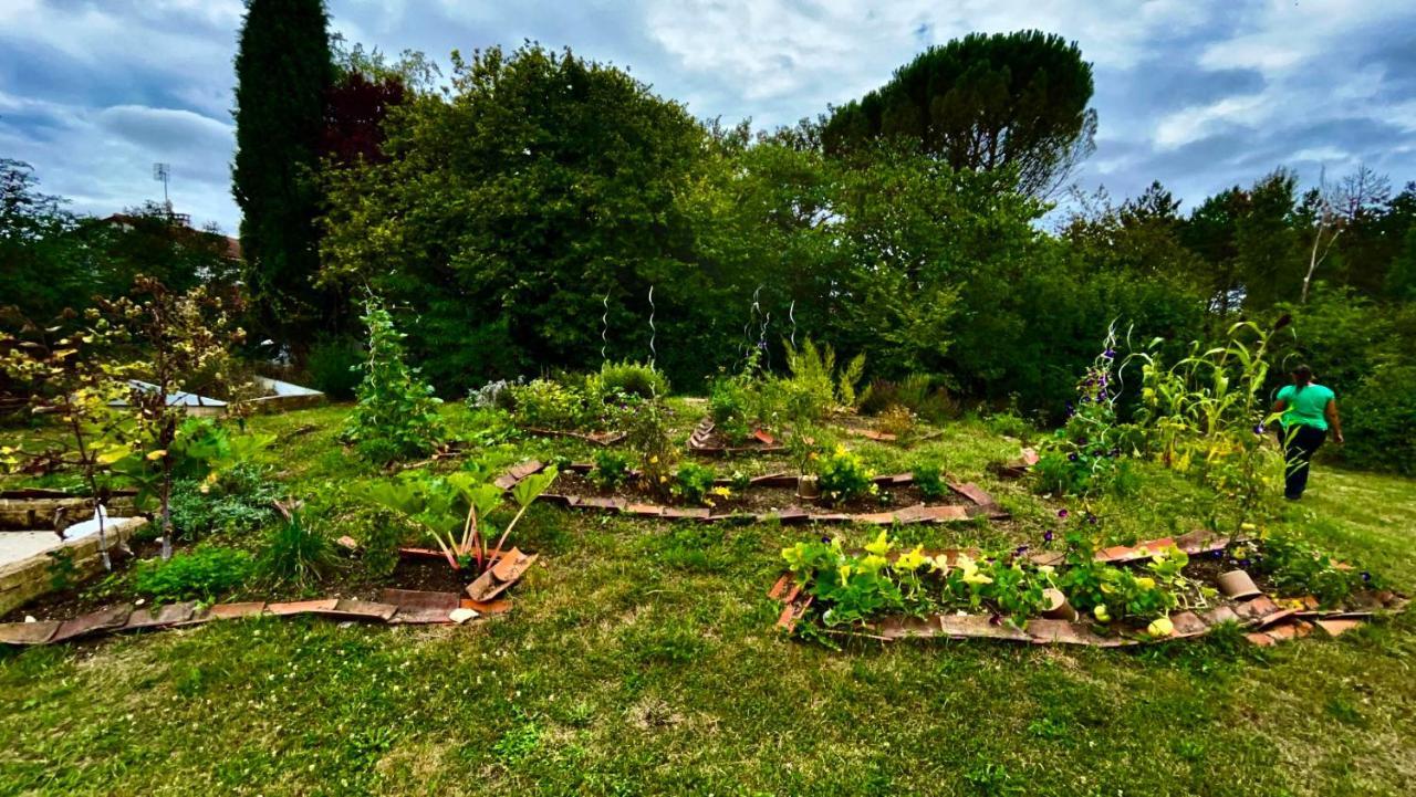 La Maison D'Hotes Des Charentes Les Touches-de-Périgny Extérieur photo